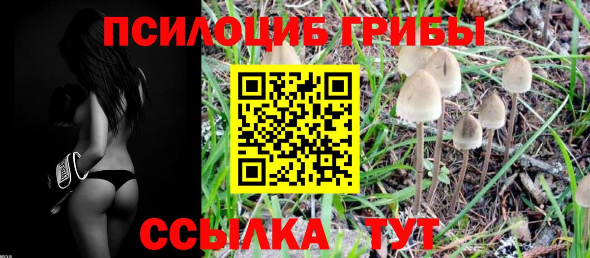Жигулёвск  Псилоцибиновые грибы Cubensis  Вход с VPN 