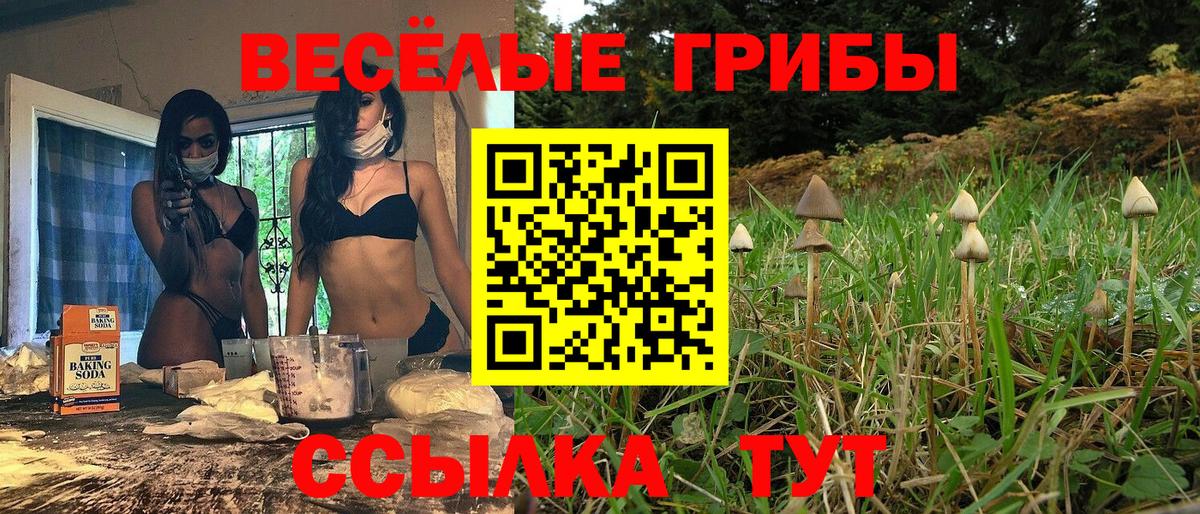 Галлюциногенные грибы мухоморы Жигулёвск